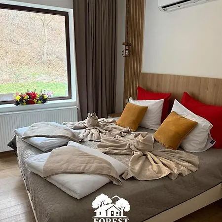 Forest Nest * Krayni Dol